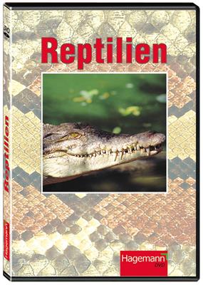 Reptilien, DVD 