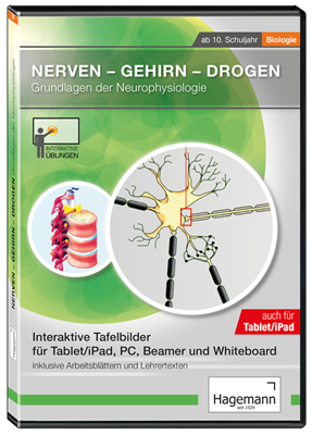 Nerven, Gehirn, Drogen (Tablet-Version) Interaktive CD-ROM, Schullizenz